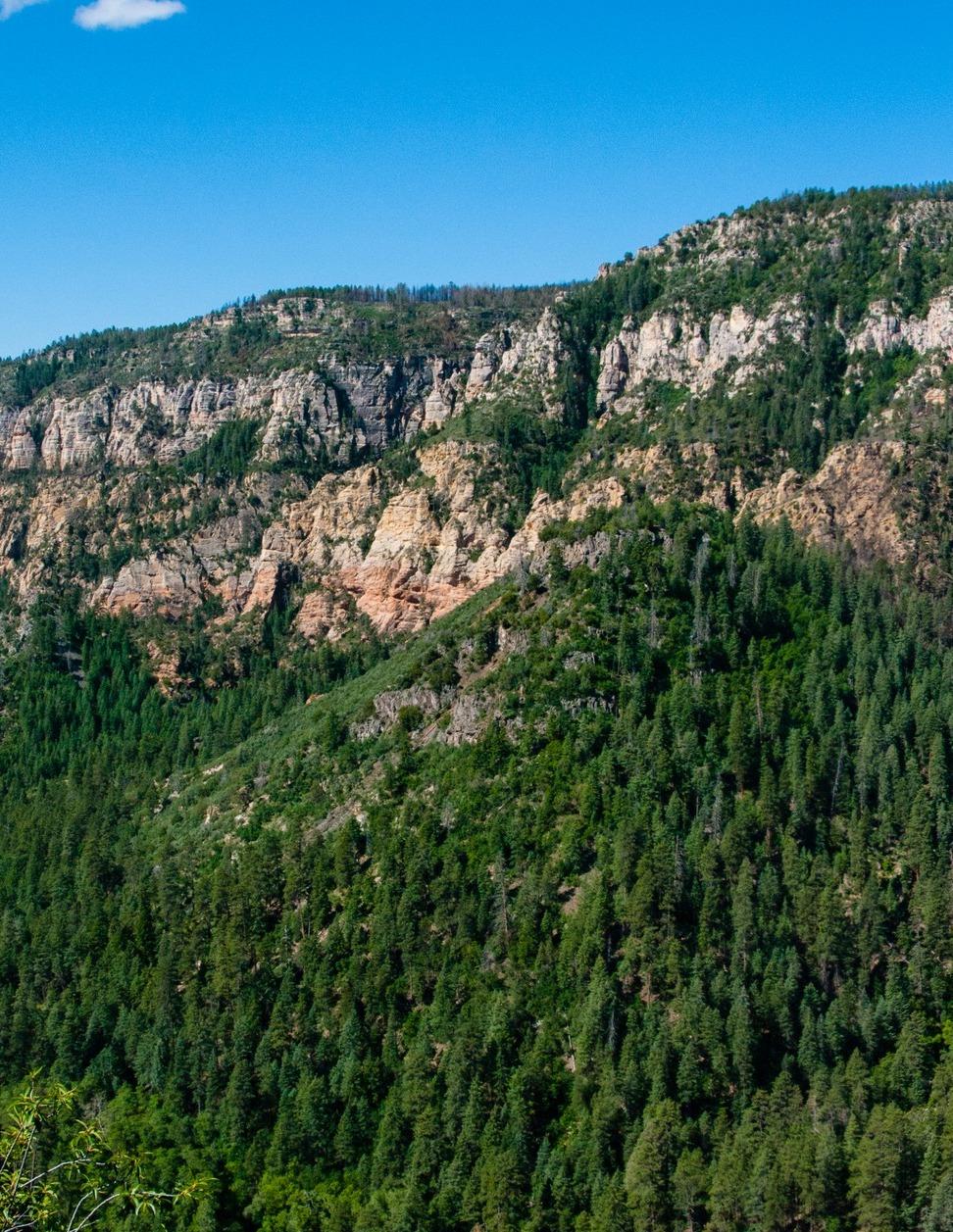 Coconino National Forest